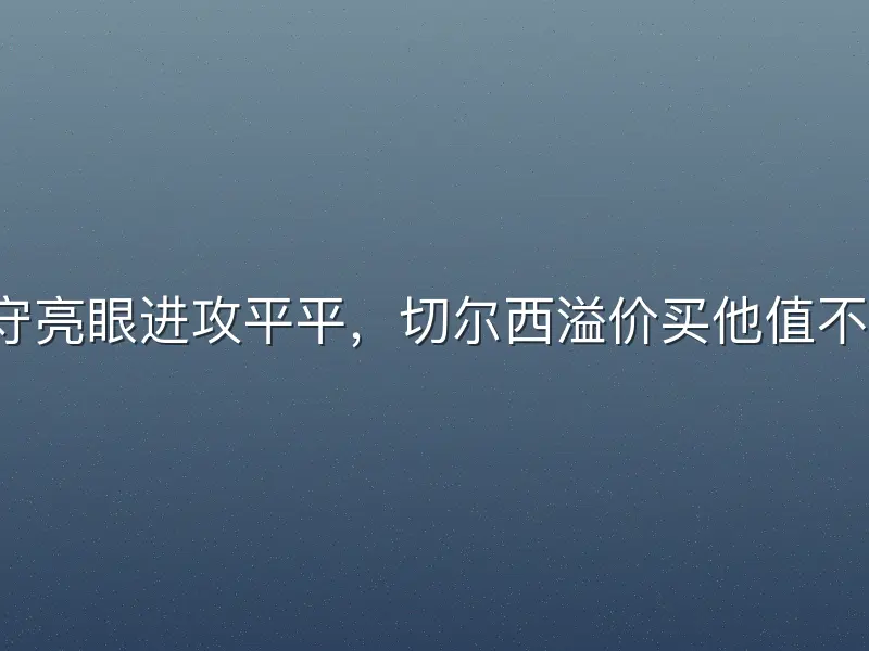 防守亮眼进攻平平，切尔西溢价买他值不值？