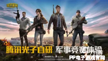 PP电子游戏