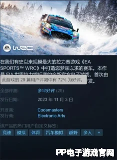 丁芷巧